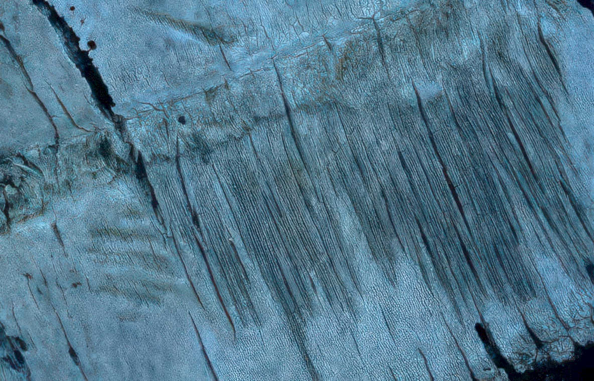 weathered blue plank Vintage A4 Photo Print