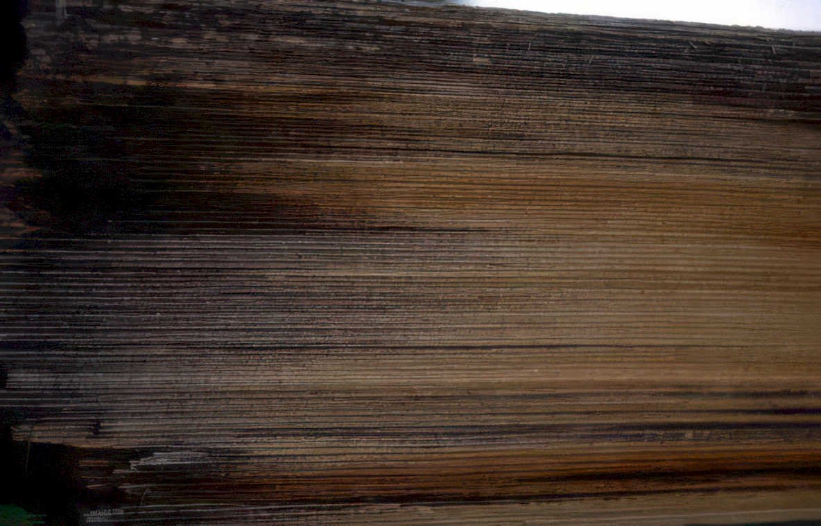 weathered book page Vintage A4 Photo Print