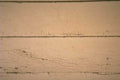 weathered wood siding 1980s 1990s A4 Photo Print