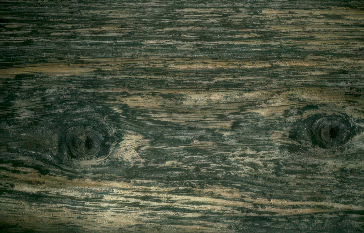weathered wood texture Vintage A4 Photo Print