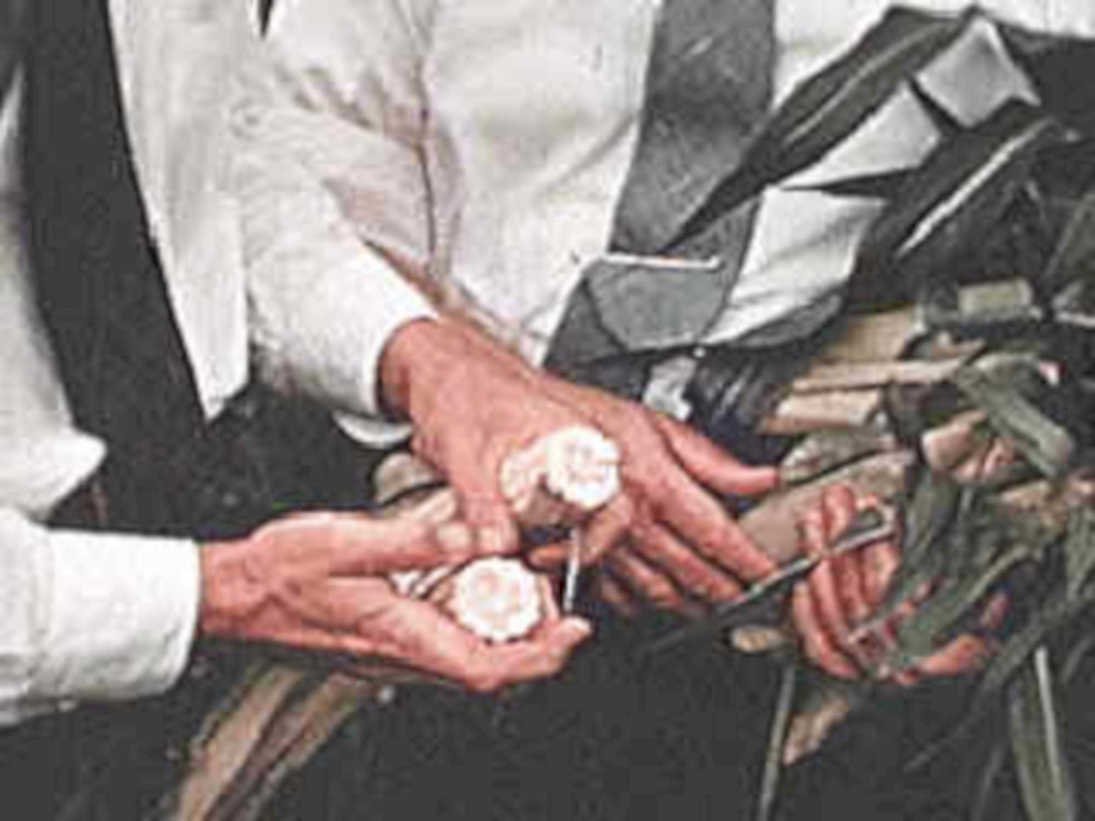 wedding flowers rings1980s 1990s A4 Photo Print