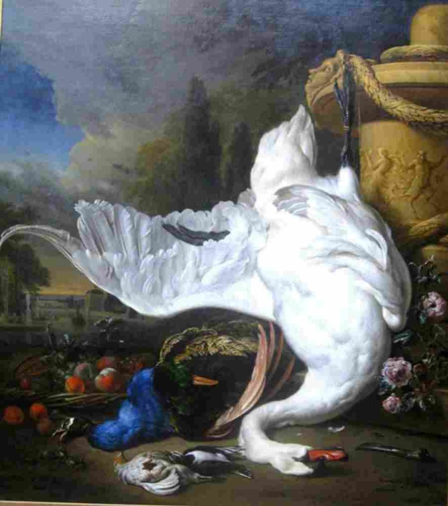 weenj Dead Swan Art A4 Photo Print