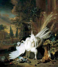 weenj Still Life with a Dead Peacock Art A4 Photo Print