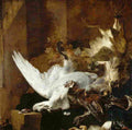 weenpap Still Life with a Dead Swan Art A4 Photo Print