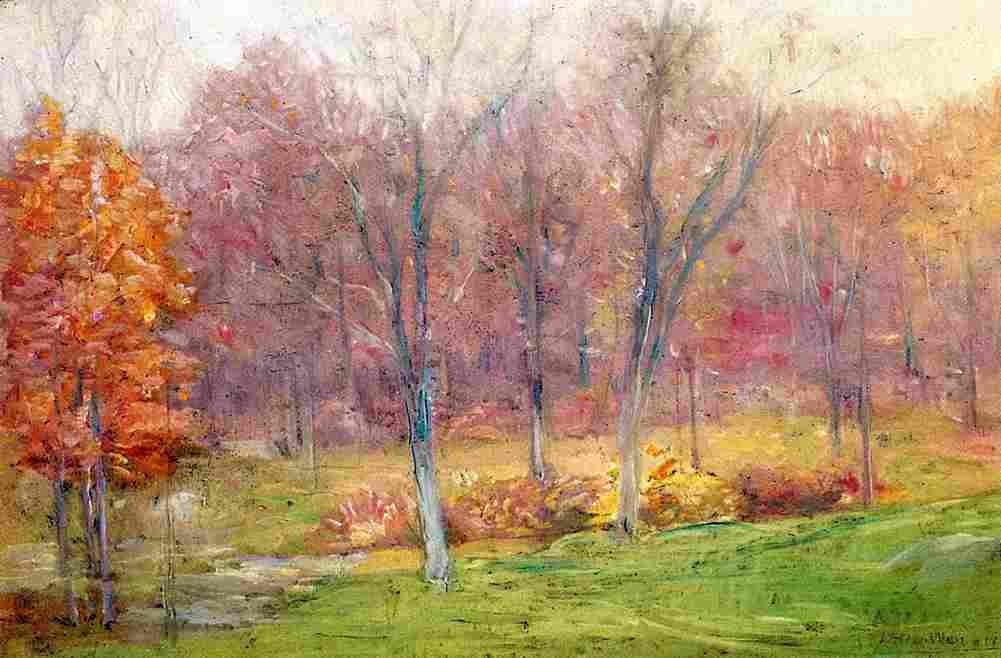 weir Autumn Rain Art A4 Photo Print