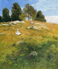 weir Summer Afternoon Shinnecock Landscape Art A4 Photo Print