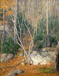 weir The Path in the Woods Art A4 Photo Print