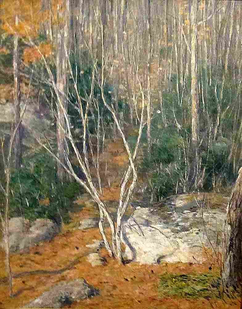 weir The Path in the Woods Art A4 Photo Print