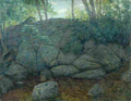 weir Woodland Rocks Art A4 Photo Print