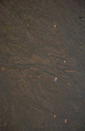 wet sand pebbles 1980s 1990s A4 Photo Print