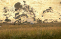 wetland cliff aircraft Vintage A4 Photo Print