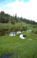 wetland pond mountains Vintage A4 Photo Print