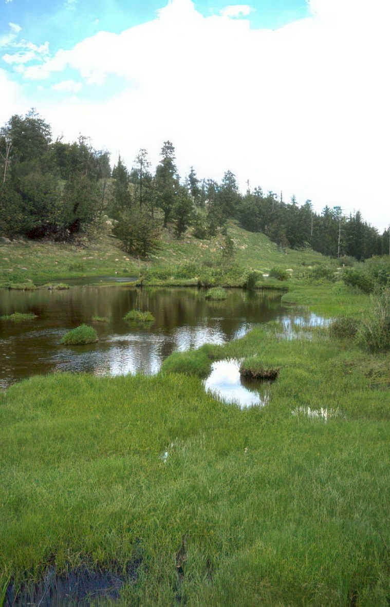 wetland pond mountains Vintage A4 Photo Print