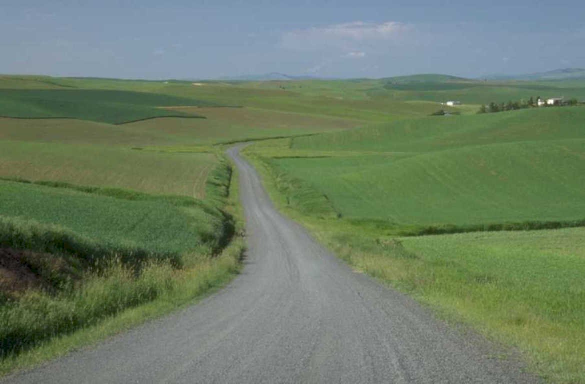 wheat field road 1980s 1990s A4 Photo Print