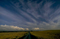 wheat field sky 1980s 1990s A4 Photo Print 42