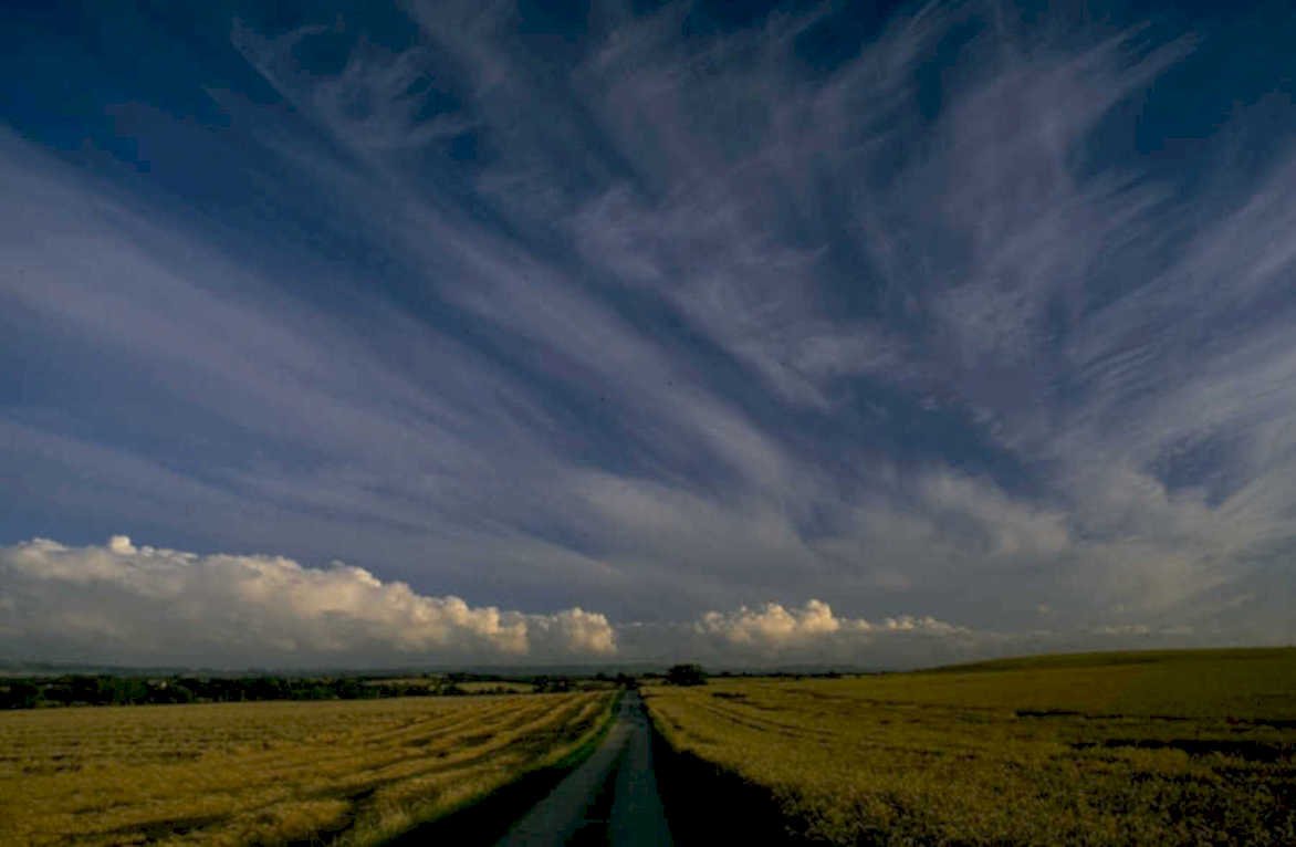 wheat field sky 1980s 1990s A4 Photo Print 42