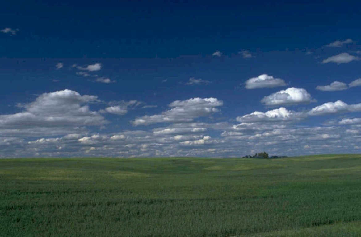 wheat field sky 1980s 1990s A4 Photo Print