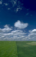 wheat fields montana 1980s 1990s A4 Photo Print