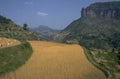 wheat fields simien 1980s 1990s A4 Photo Print