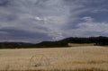 wheat irrigation hills 1980s 1990s A4 Photo Print