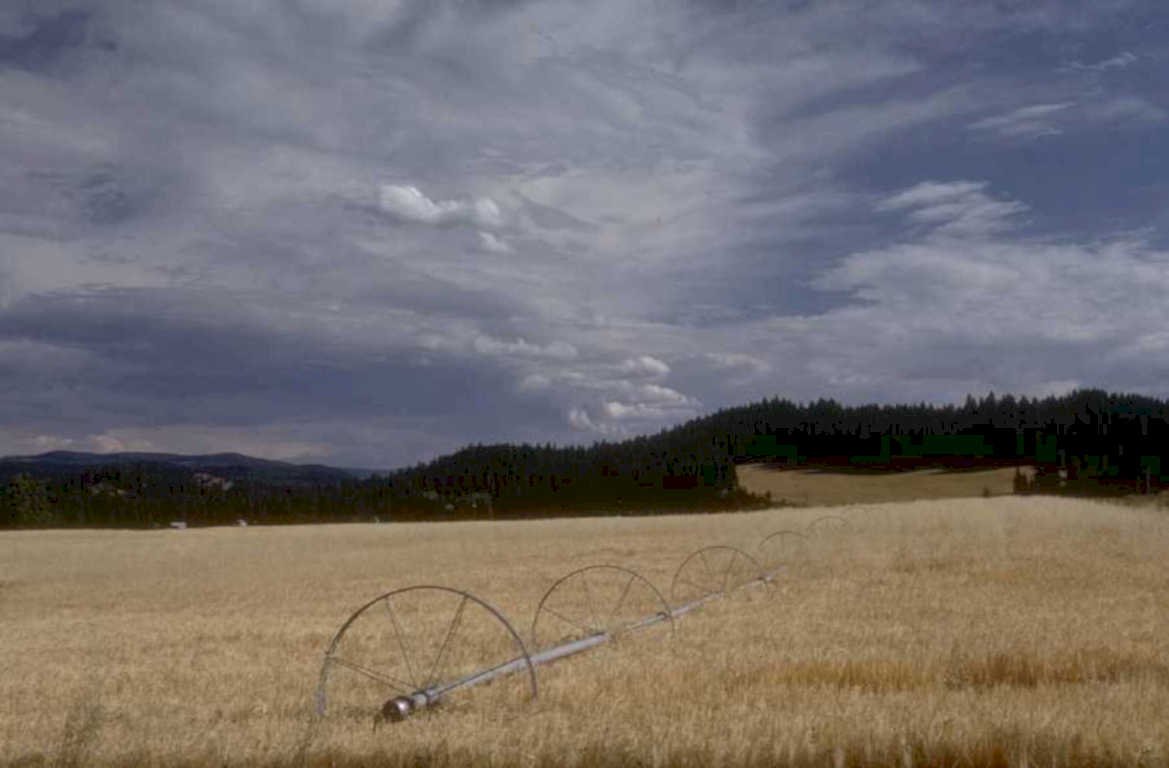 wheat irrigation hills 1980s 1990s A4 Photo Print