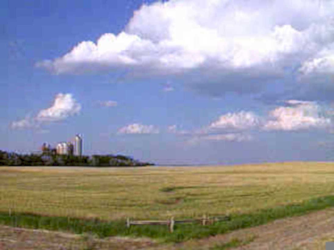 wheat silo landscape1980s 1990s A4 Photo Print