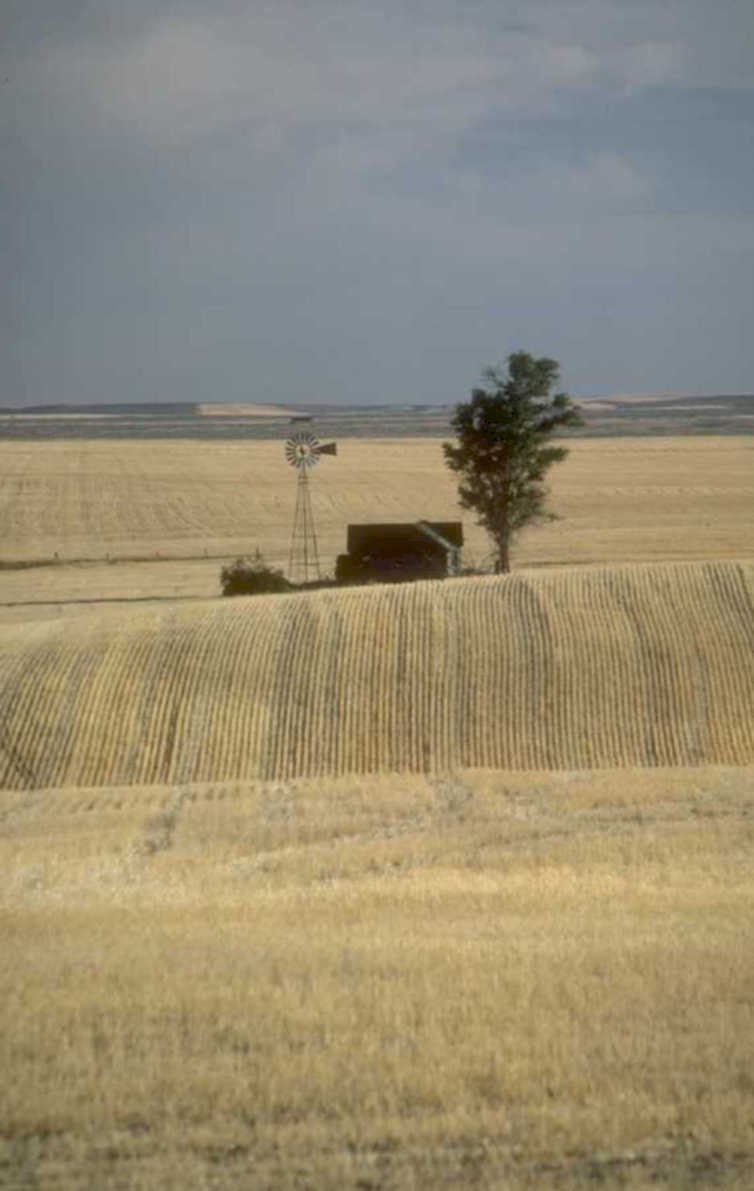 wheat windmill landscape 1980s 1990s A4 Photo Print
