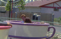 whirlygig ride kids Vintage A4 Photo Print