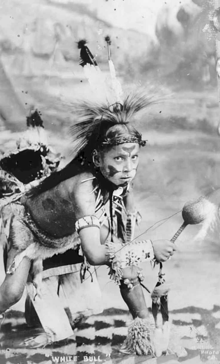 white bull powwow Vintage world war A4 Photo Print