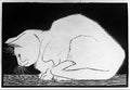 white cat ii mc escher 1919 s2 A4 Photo Print
