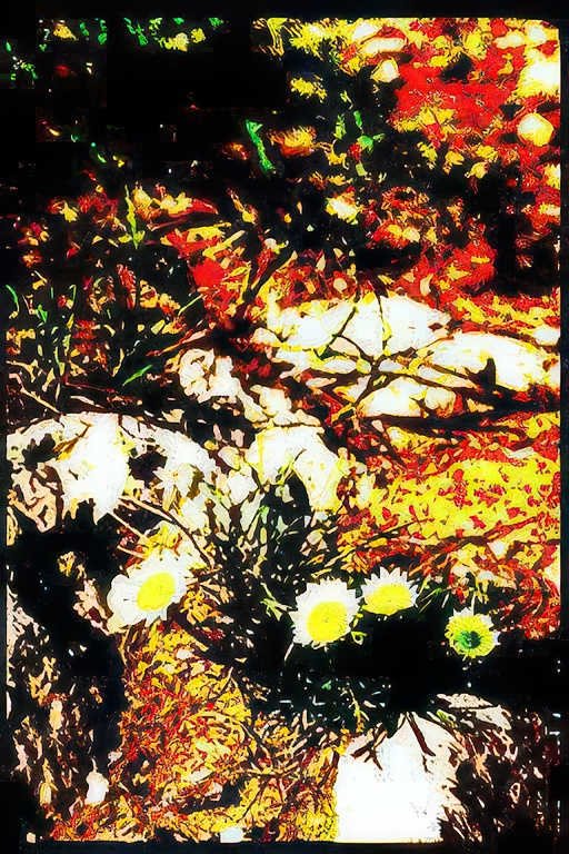 white daisies wildflowers Vintage A4 Photo Print