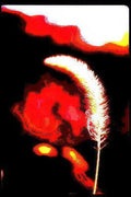 white feather abstract Vintage A4 Photo Print
