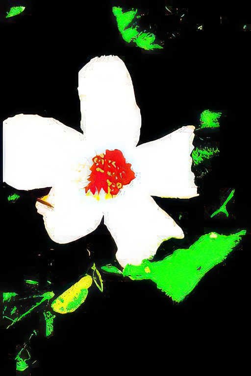 white hibiscus flower Vintage A4 Photo Print