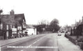 white horse roadVintage 1880s 1900s A4 Photo Print