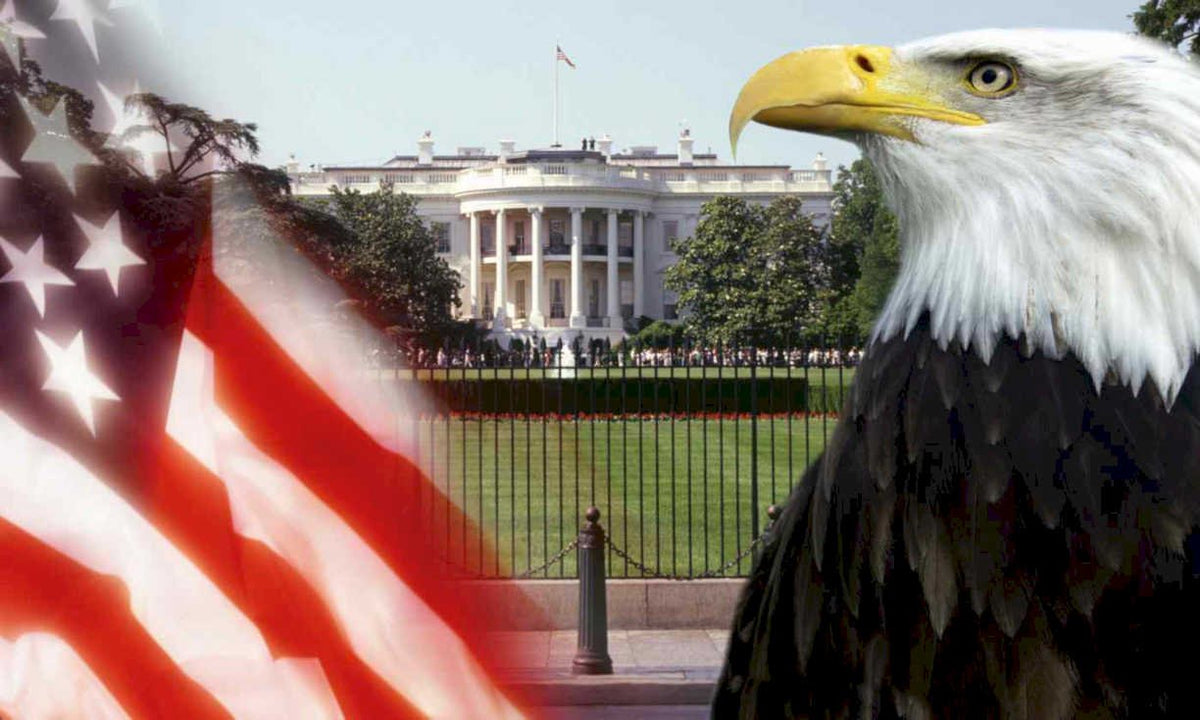 white house eagle Flags1980s A4 Photo Print