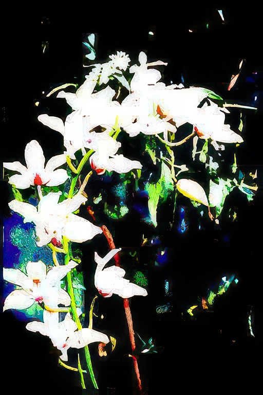 white lilies garden Vintage A4 Photo Print