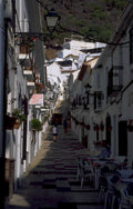 white street canary 1980s 1990s A4 Photo Print