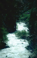 whitewater rapids rocks Vintage A4 Photo Print