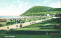 wicklow coast hillVintage 1880s 1900s A4 Photo Print