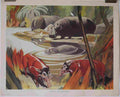 wild pigs hippos Advert A4 Photo Print