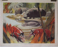 wild pigs hippos Vintage Advert A4 Photo Print