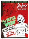 wild weed  03 film star poster A4 Photo Print