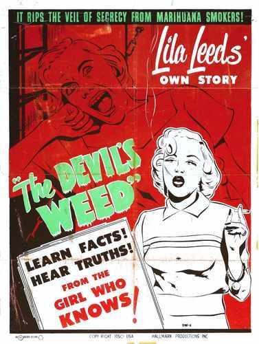 wild weed  03 film star poster A4 Photo Print