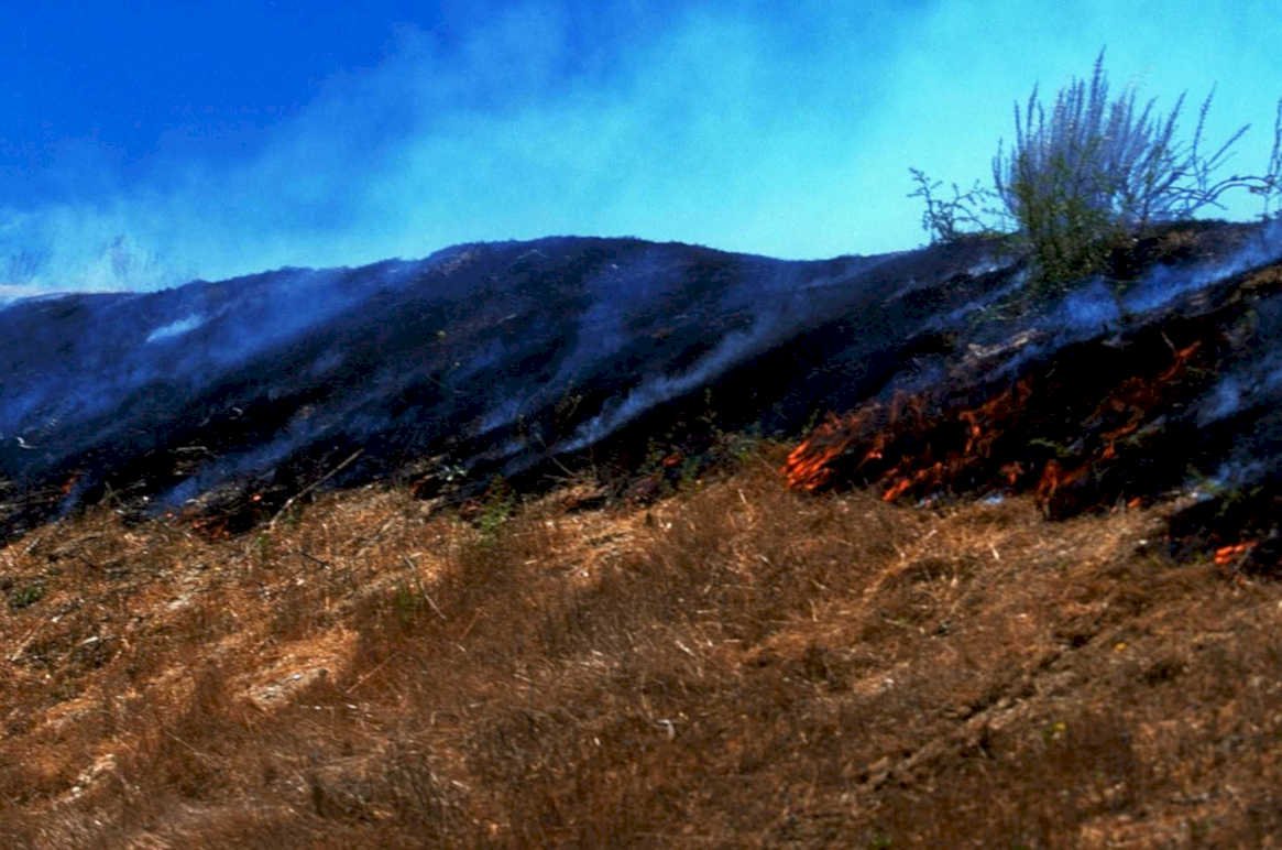 wildfire hills smoke1980s 1990s A4 Photo Print