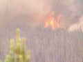 wildfire trees smoke1980s 1990s A4 Photo Print