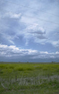 wildflowers mountains field 1980s 1990s A4 Photo Print
