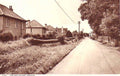 willand cottages roadVintage 1880s 1900s A4 Photo Print