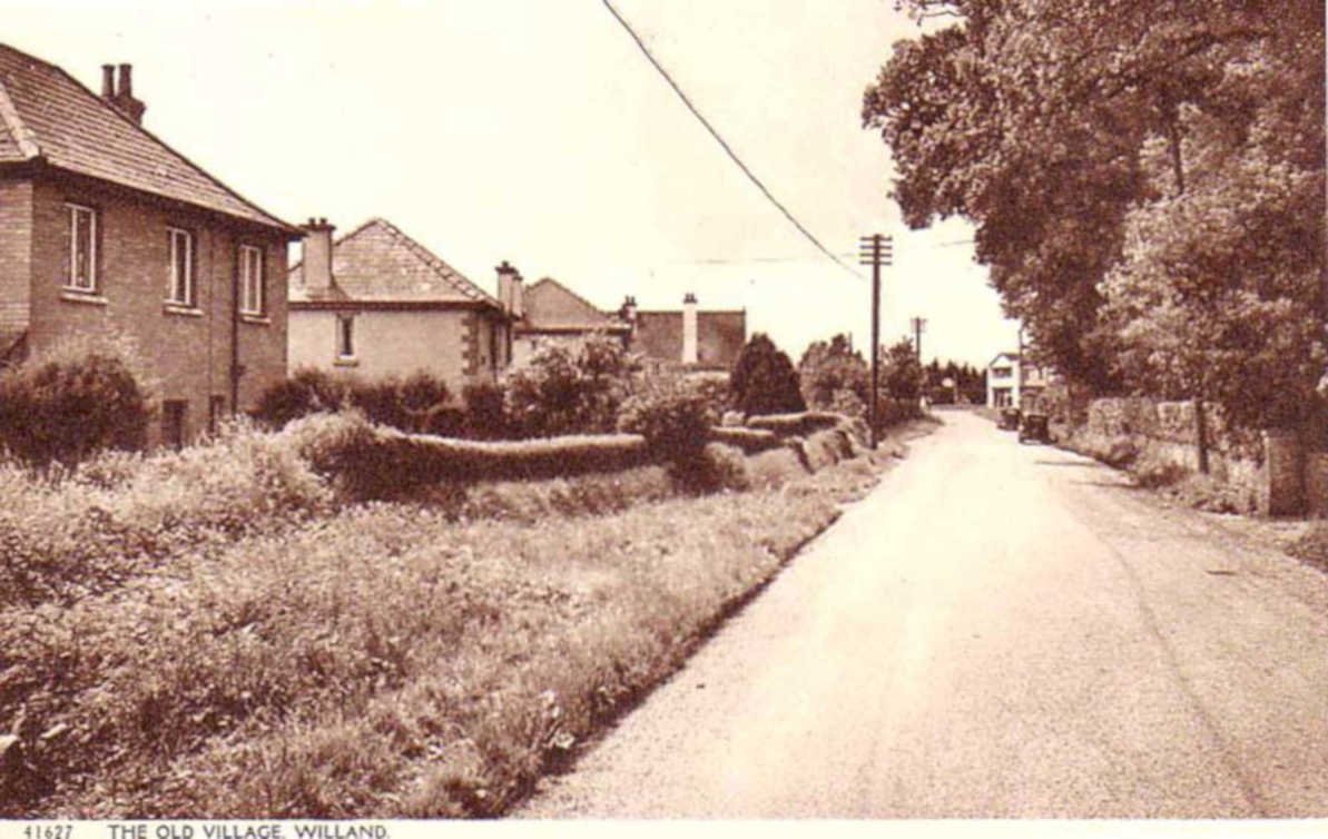 willand cottages roadVintage 1880s 1900s A4 Photo Print