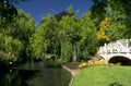 willow bridge riverbank 1980s 1990s A4 Photo Print