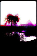 willow bridge sunset Vintage A4 Photo Print